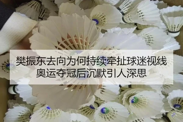 fan-zhen-dong-qu-xiang-wei-he-chi-xu-qian-che-qiu-mi-shi-xian-ao-yun-duo-guan-hou-chen-mo-yin-ren-shen-si-2-942.jpg