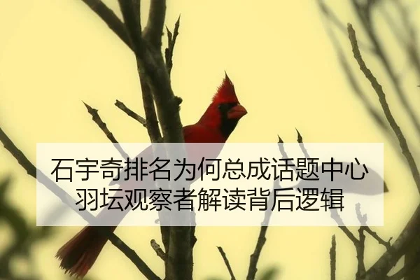 石宇奇排名为何总成话题中心 羽坛观察者解读背后逻辑